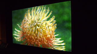 The Pioneer Elite TV Is Back: Is It the Greatest LCD TV Ever Created?